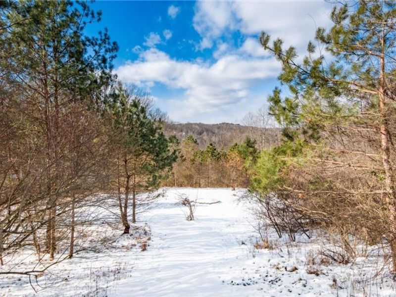 73291 Seminary Road, Kimbolton, OH 43749 Photo 13