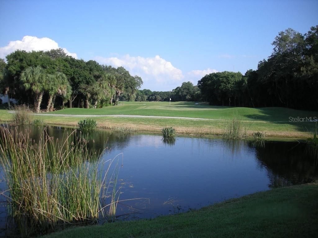 484 Marsh Creek Road, Venice, FL 34292 Photo