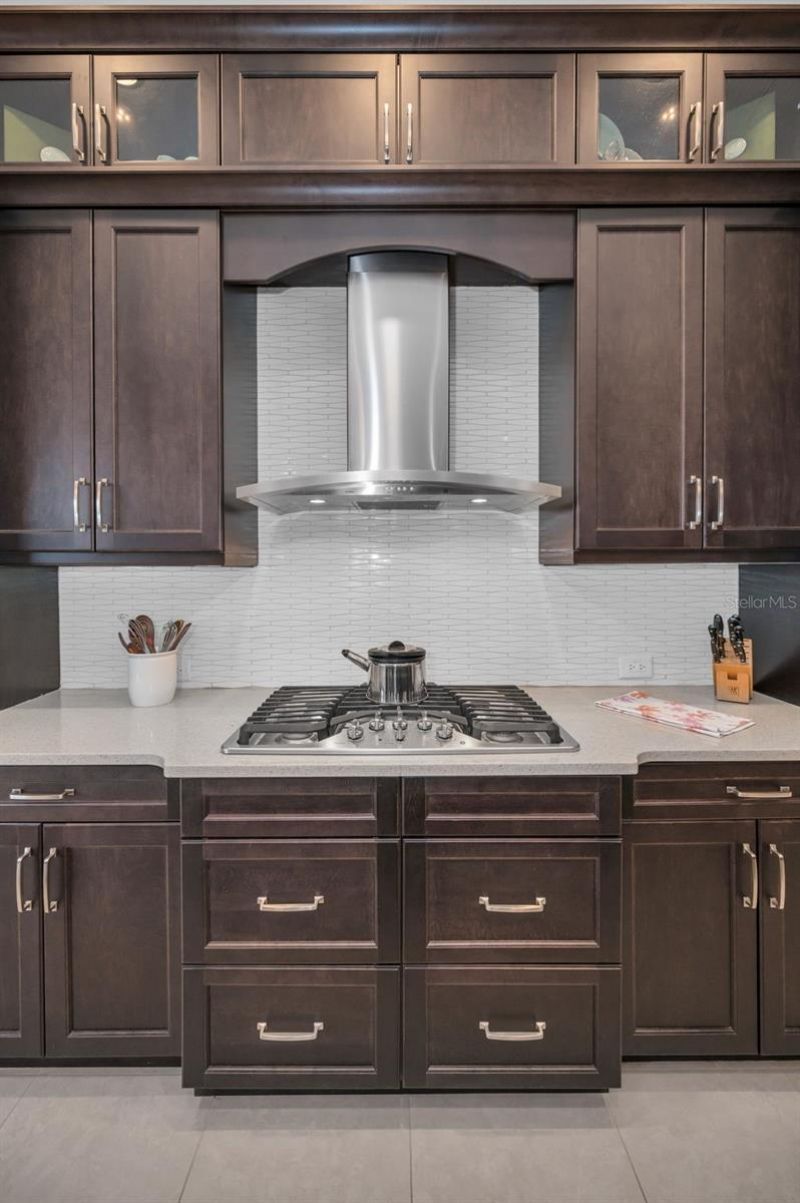 1042 Tuscany Drive, Trinity, FL 34655 Photo