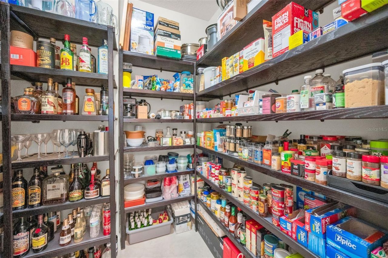 1042 Tuscany Drive, Trinity, FL 34655 Photo