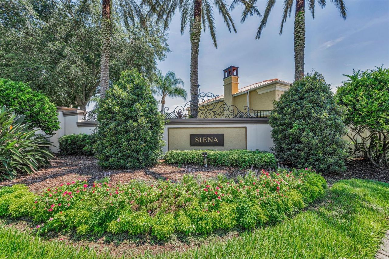 1042 Tuscany Drive, Trinity, FL 34655 Photo