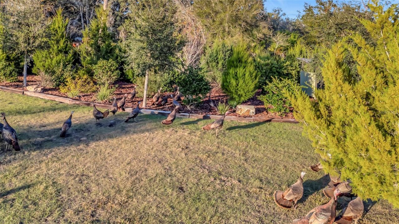 7330 Crabgrass Road, Saint Cloud, FL 34773 Photo