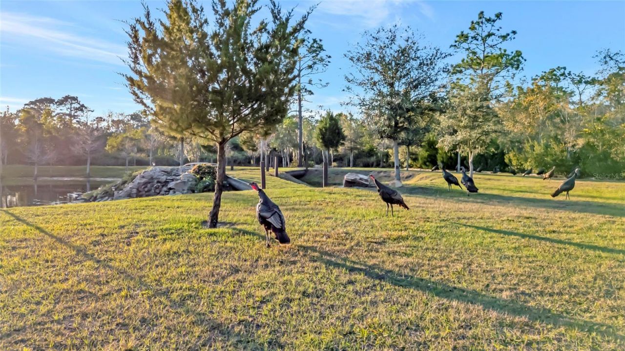 7330 Crabgrass Road, Saint Cloud, FL 34773 Photo