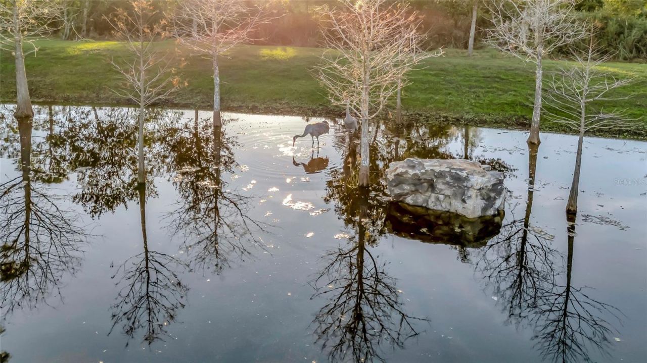 7330 Crabgrass Road, Saint Cloud, FL 34773 Photo