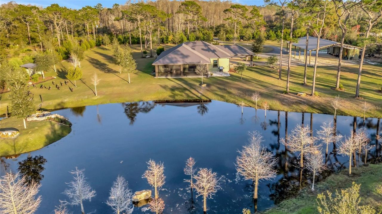 7330 Crabgrass Road, Saint Cloud, FL 34773 Photo