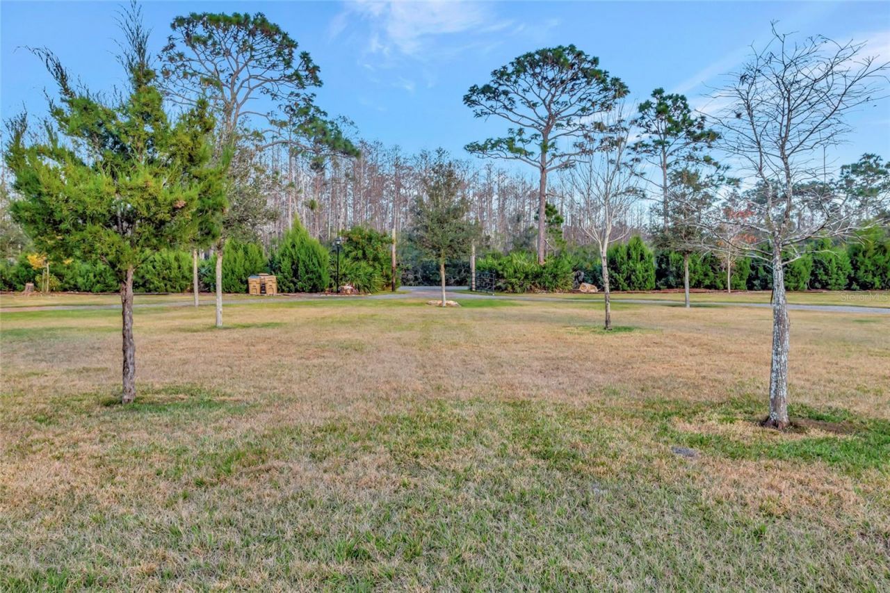 7330 Crabgrass Road, Saint Cloud, FL 34773 Photo