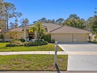 4917 LONDONDERRY DRIVE Tampa, FL 33647