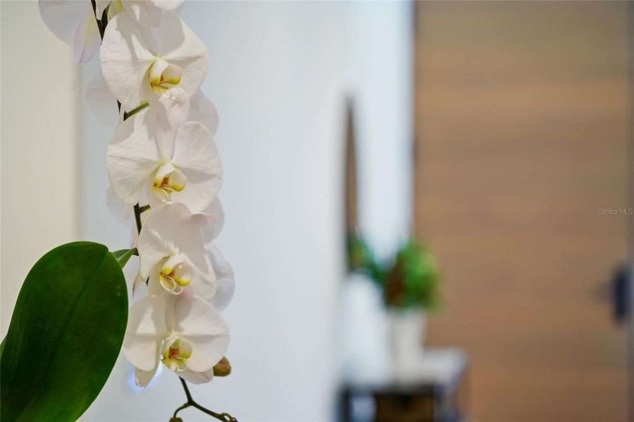 948 Citrus Avenue, Sarasota, FL 34236 Photo