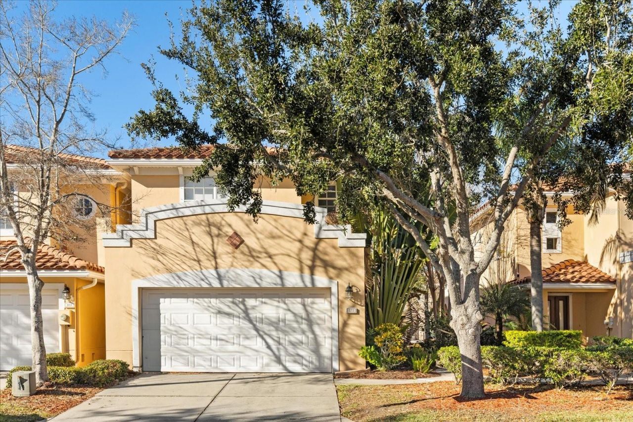 171 Valencia Circle, Saint Petersburg, FL 33716 Photo