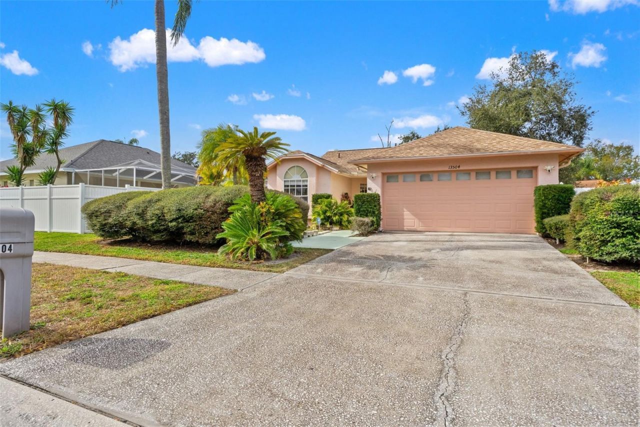 13504 Fawn Ridge Boulevard, Tampa, FL 33626 Main Photo
