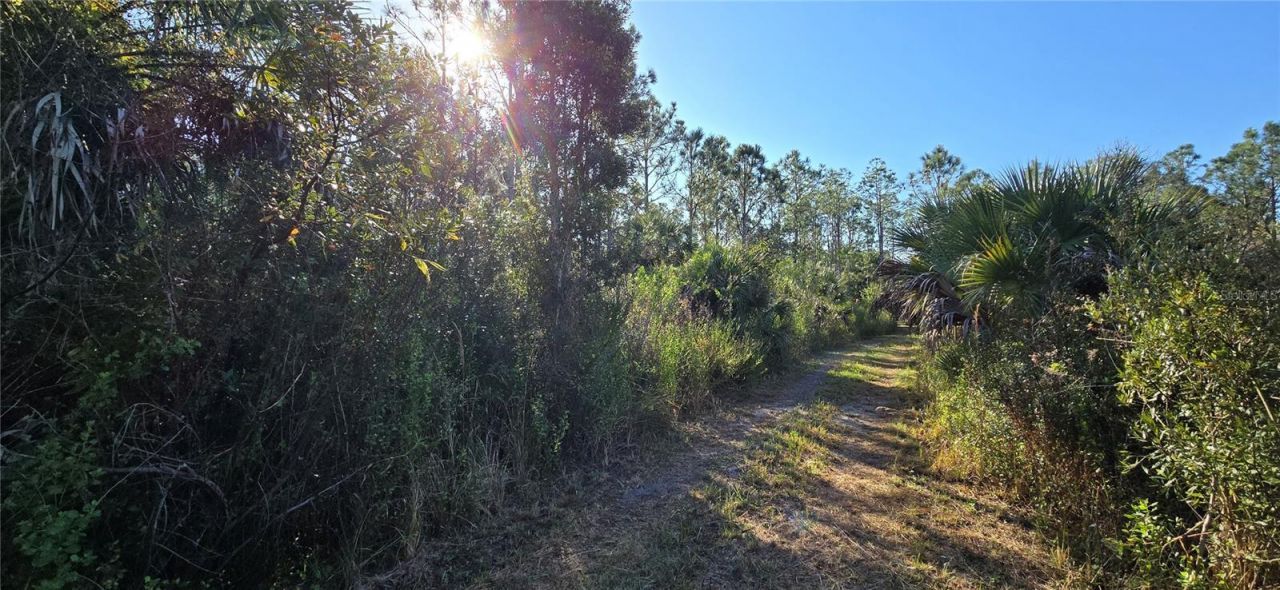 49765 Bermont Road, Punta Gorda, FL 33982 Photo