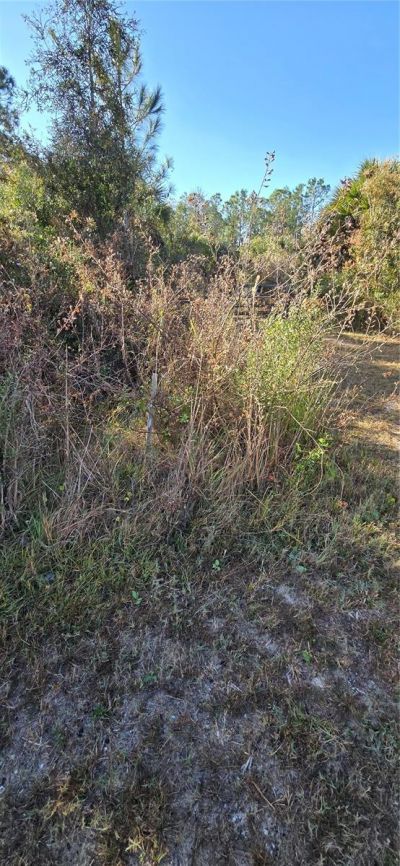 49765 Bermont Road, Punta Gorda, FL 33982 Photo