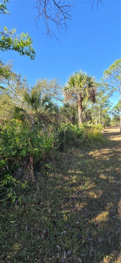 49765 Bermont Road, Punta Gorda, FL 33982 Photo