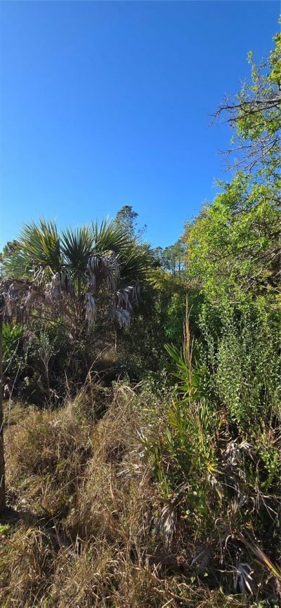 49765 Bermont Road, Punta Gorda, FL 33982 Photo