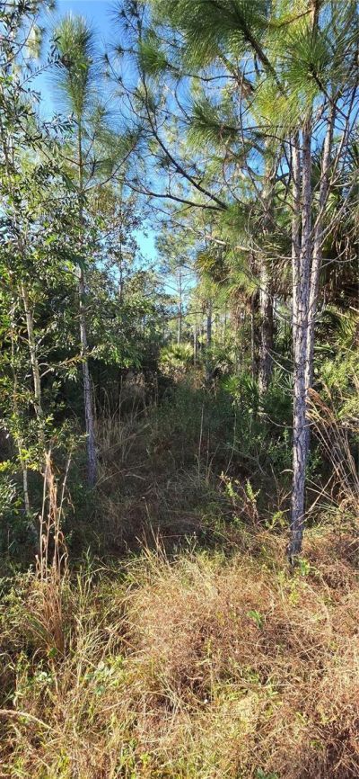 49765 Bermont Road, Punta Gorda, FL 33982 Photo