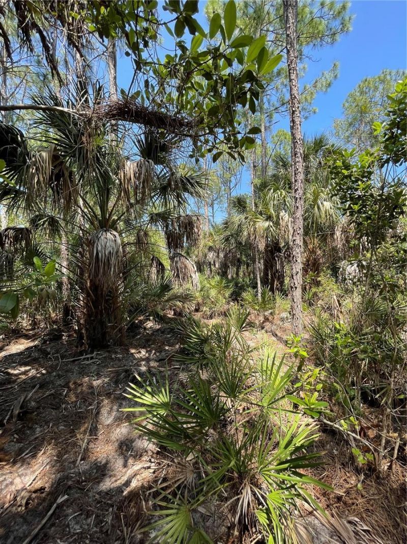 49765 Bermont Road, Punta Gorda, FL 33982 Photo