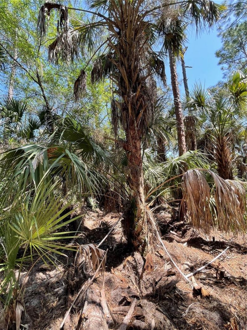 49765 Bermont Road, Punta Gorda, FL 33982 Photo