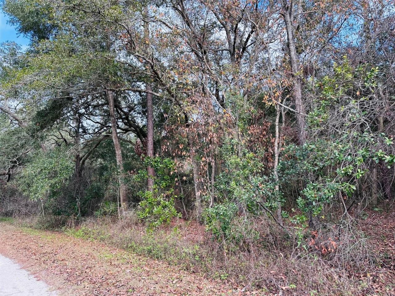 16151 NW 80th Court, Fanning Springs, FL 32693 Photo