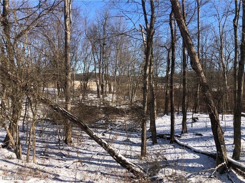 Valleydale Avenue SE, Magnolia, OH 44643 Photo 3