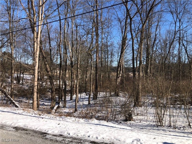 Valleydale Avenue SE, Magnolia, OH 44643 Photo 4