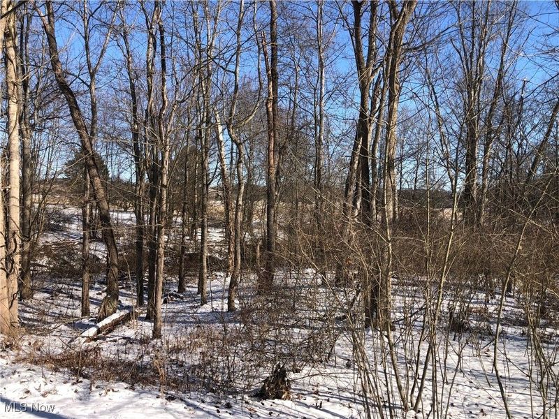 Valleydale Avenue SE, Magnolia, OH 44643 Photo 5