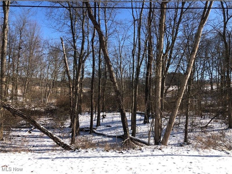 Valleydale Avenue SE, Magnolia, OH 44643 Photo 6