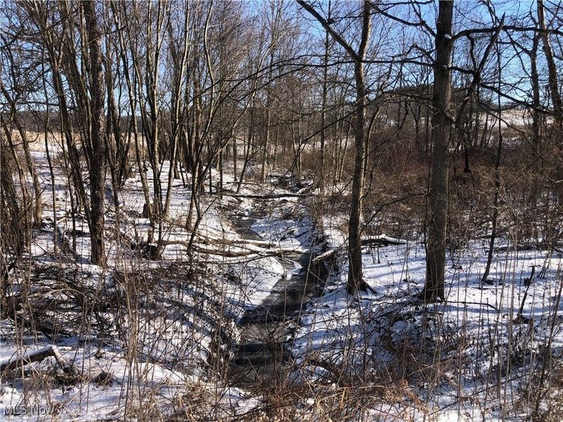 Valleydale Avenue SE, Magnolia, OH 44643 Photo 7