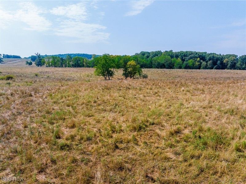 Lewis Road, Salineville, OH 43945 Photo 3