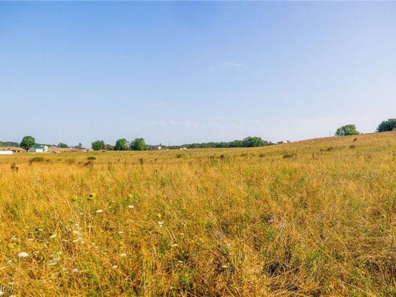 Lewis Road, Salineville, OH 43945 Photo 5