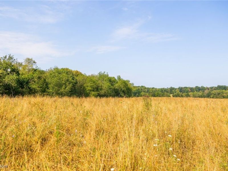 Lewis Road, Salineville, OH 43945 Photo 6