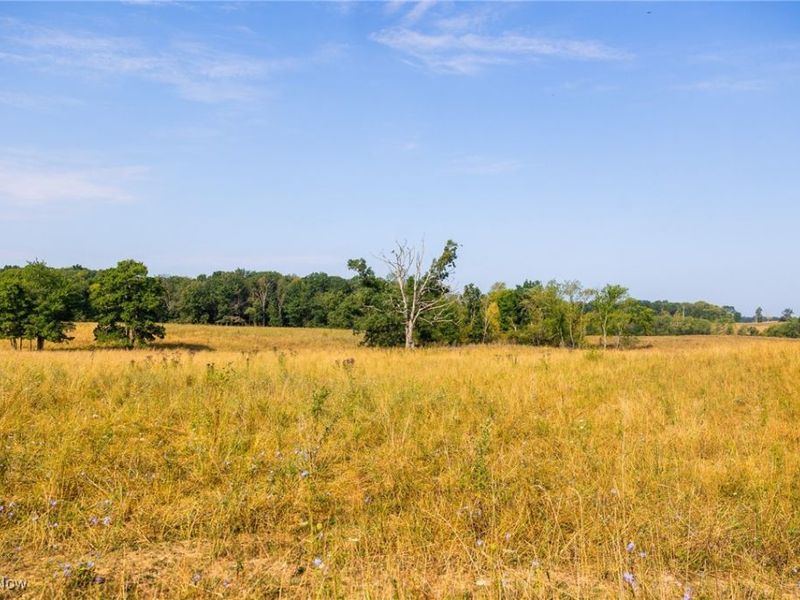 Lewis Road, Salineville, OH 43945 Photo 3