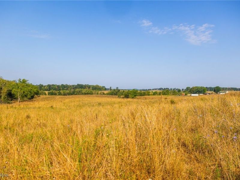 Lewis Road, Salineville, OH 43945 Photo 4