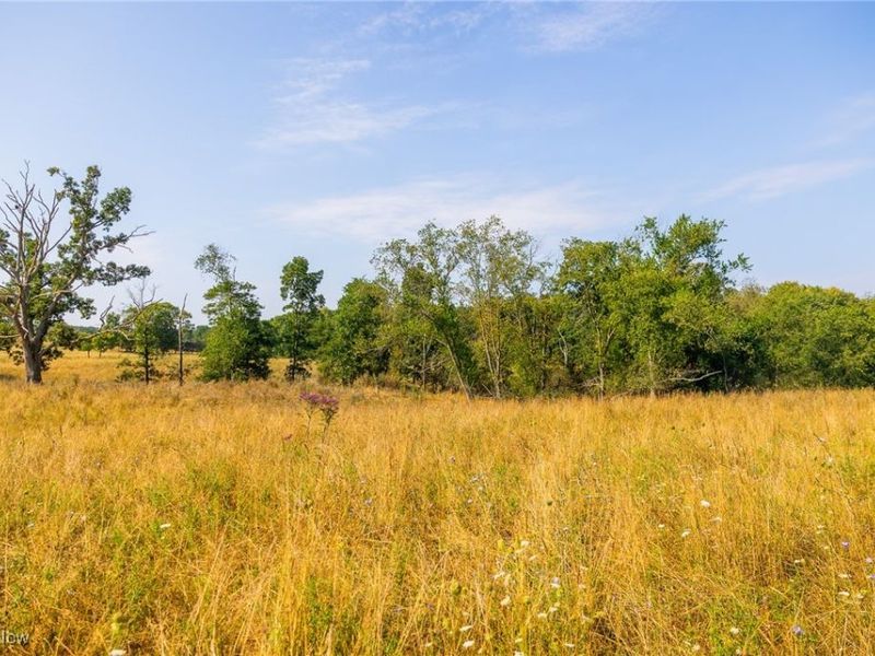 Lewis Road, Salineville, OH 43945 Photo 7