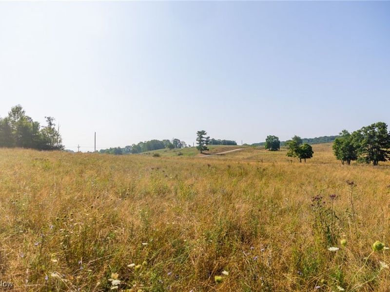 Lewis Road, Salineville, OH 43945 Photo 8