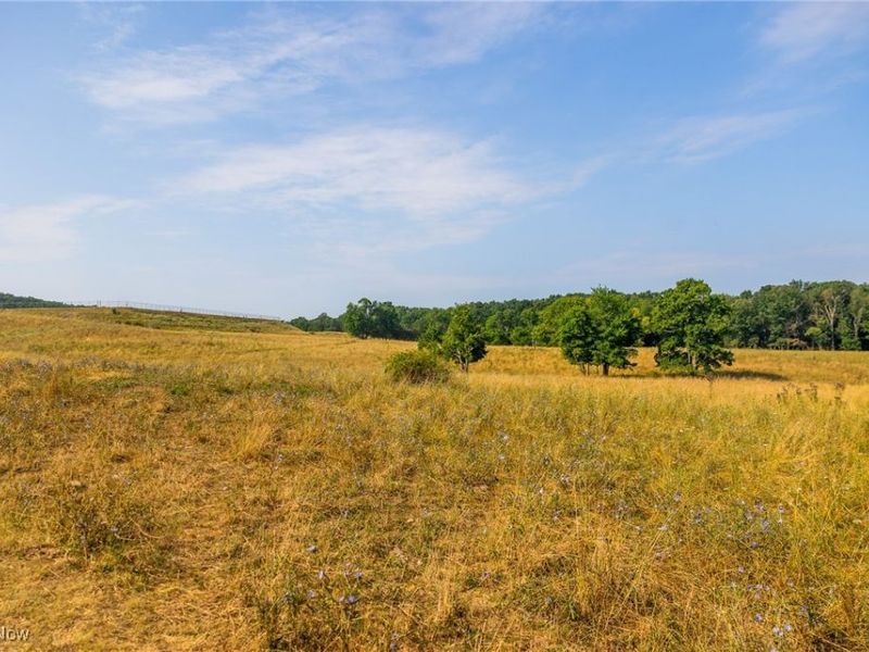 Lewis Road, Salineville, OH 43945 Photo 9