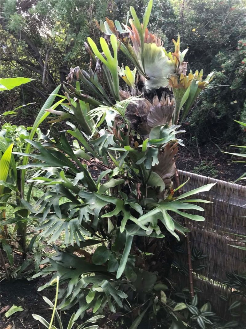 450 Hazel Street, Sebastian, FL 32958 Photo