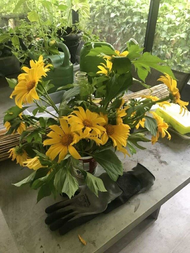 450 Hazel Street, Sebastian, FL 32958 Photo