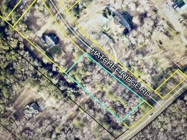 0 Hatchee Ridge Road, Dublin, GA 31021