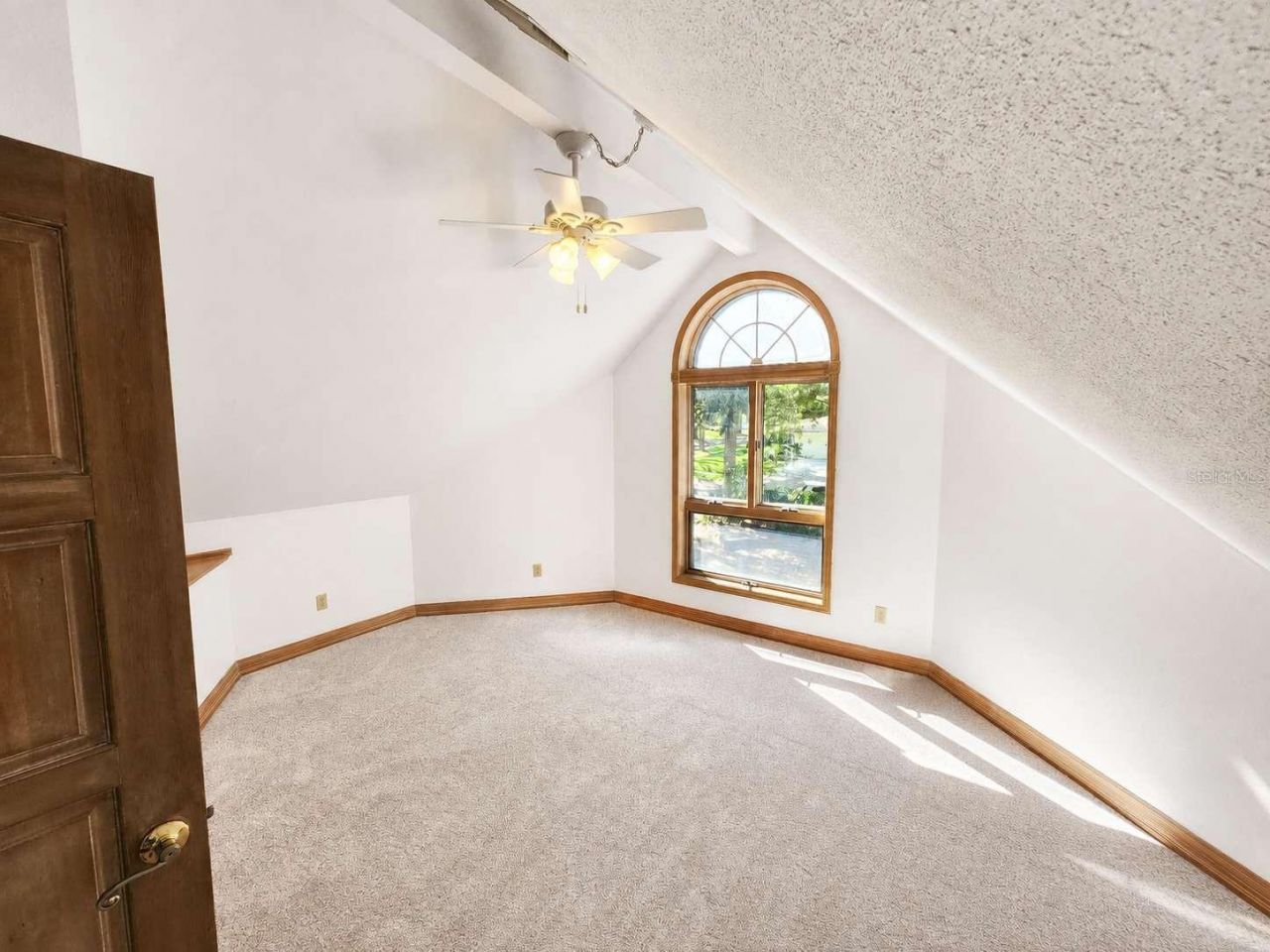 3522 Shoreline Circle, Palm Harbor, FL 34684 Photo