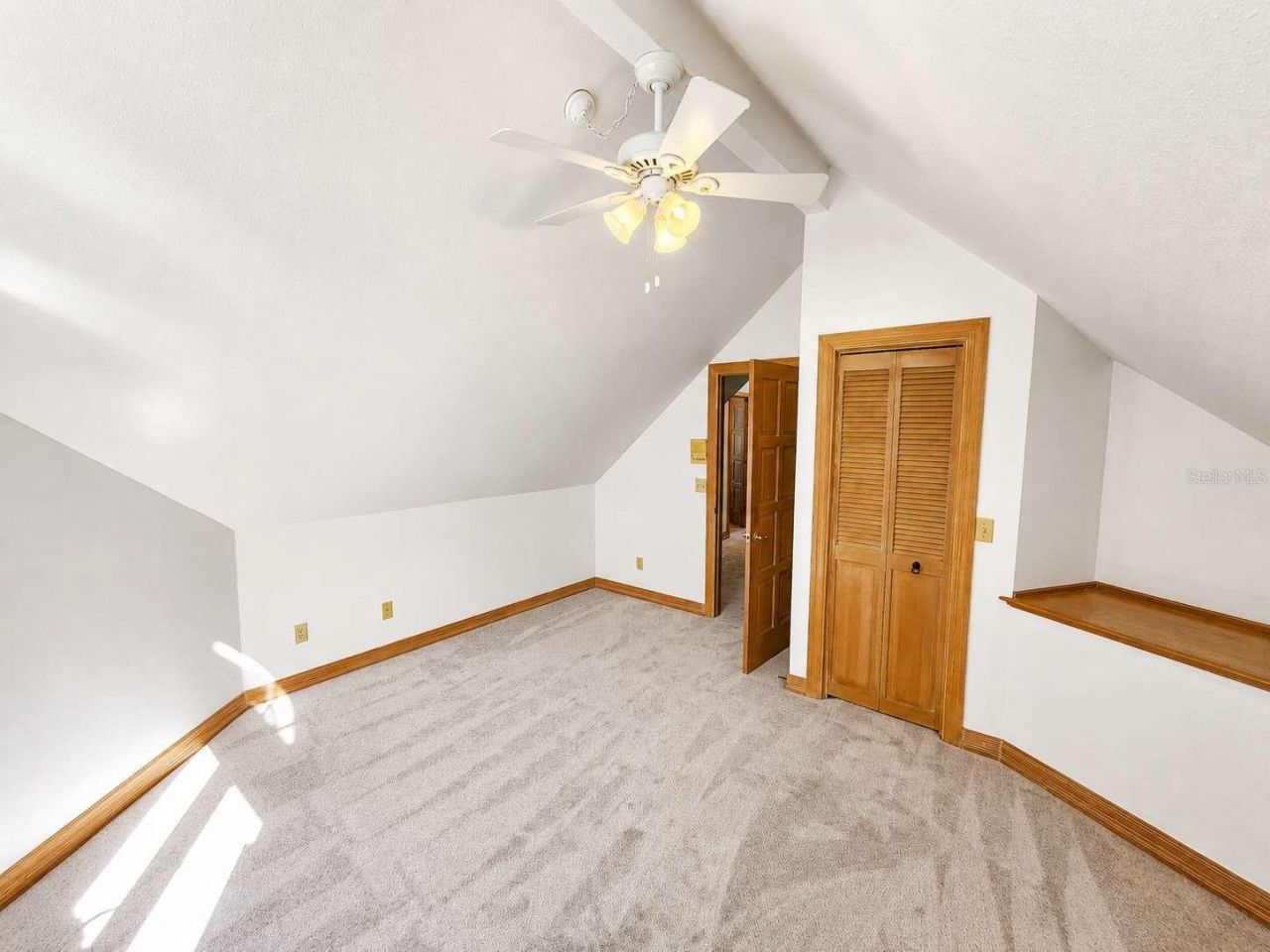 3522 Shoreline Circle, Palm Harbor, FL 34684 Photo