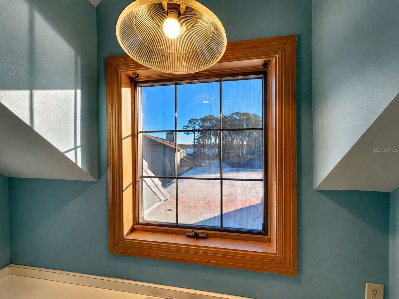 3522 Shoreline Circle, Palm Harbor, FL 34684 Photo