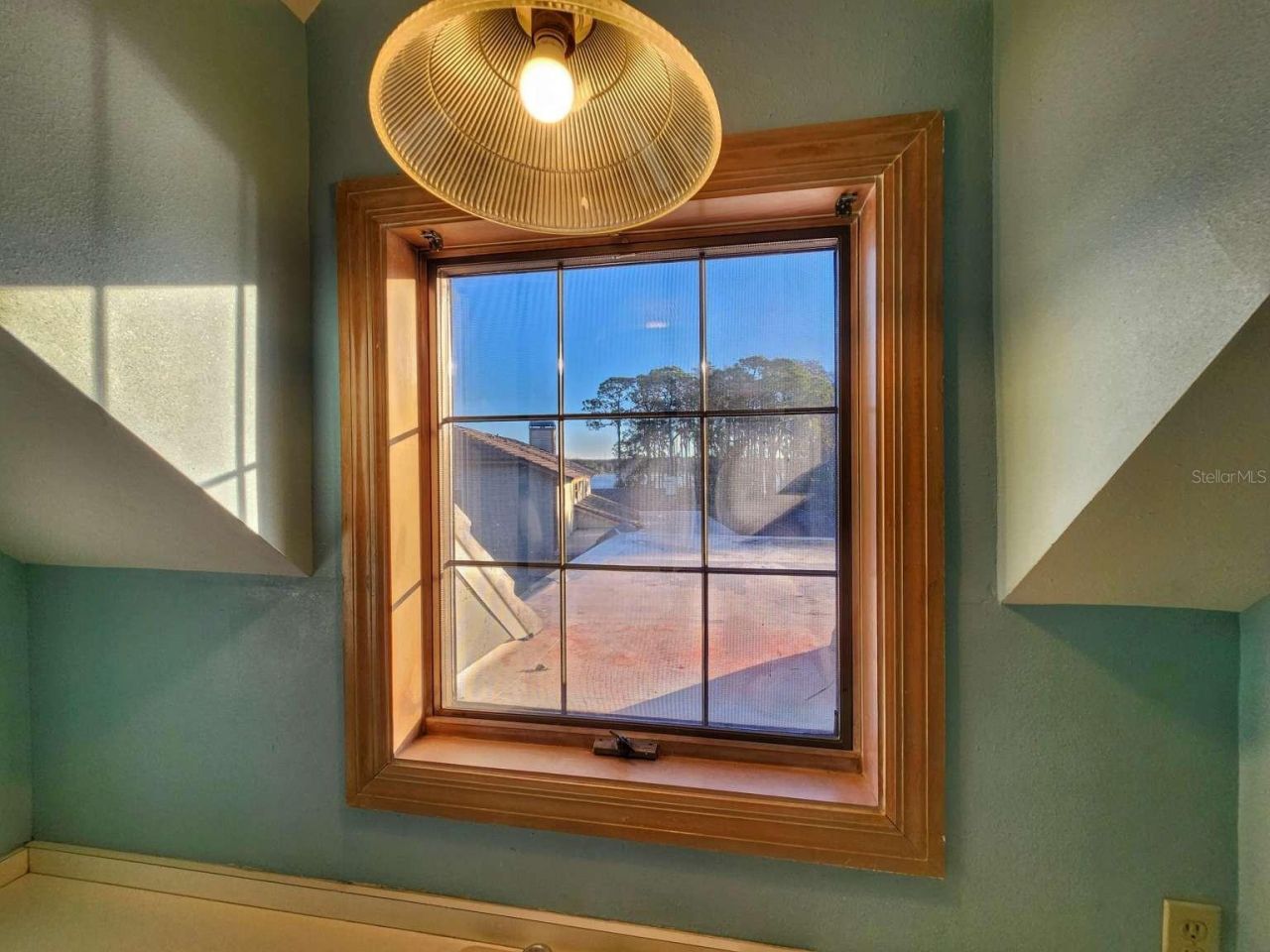 3522 Shoreline Circle, Palm Harbor, FL 34684 Photo