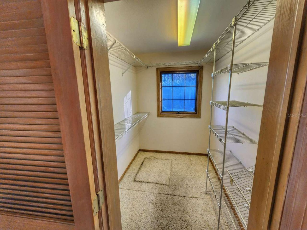 3522 Shoreline Circle, Palm Harbor, FL 34684 Photo