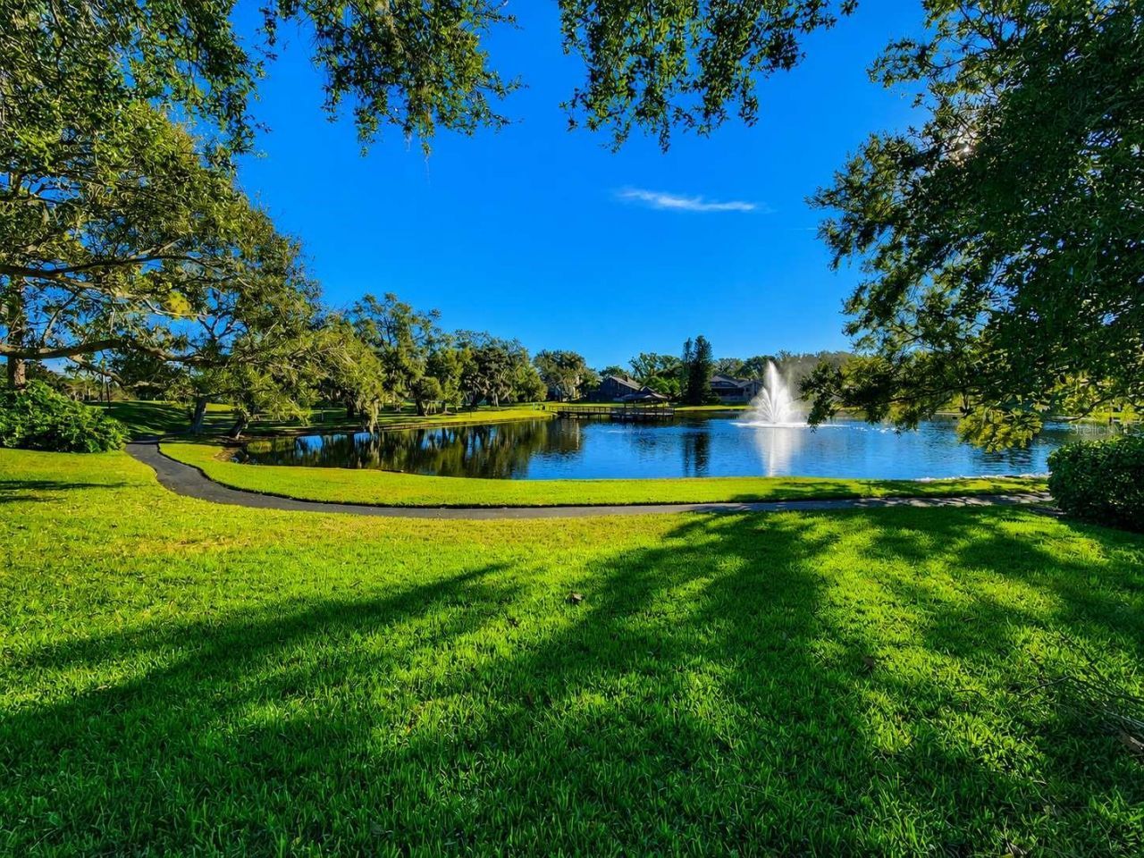3522 Shoreline Circle, Palm Harbor, FL 34684 Photo