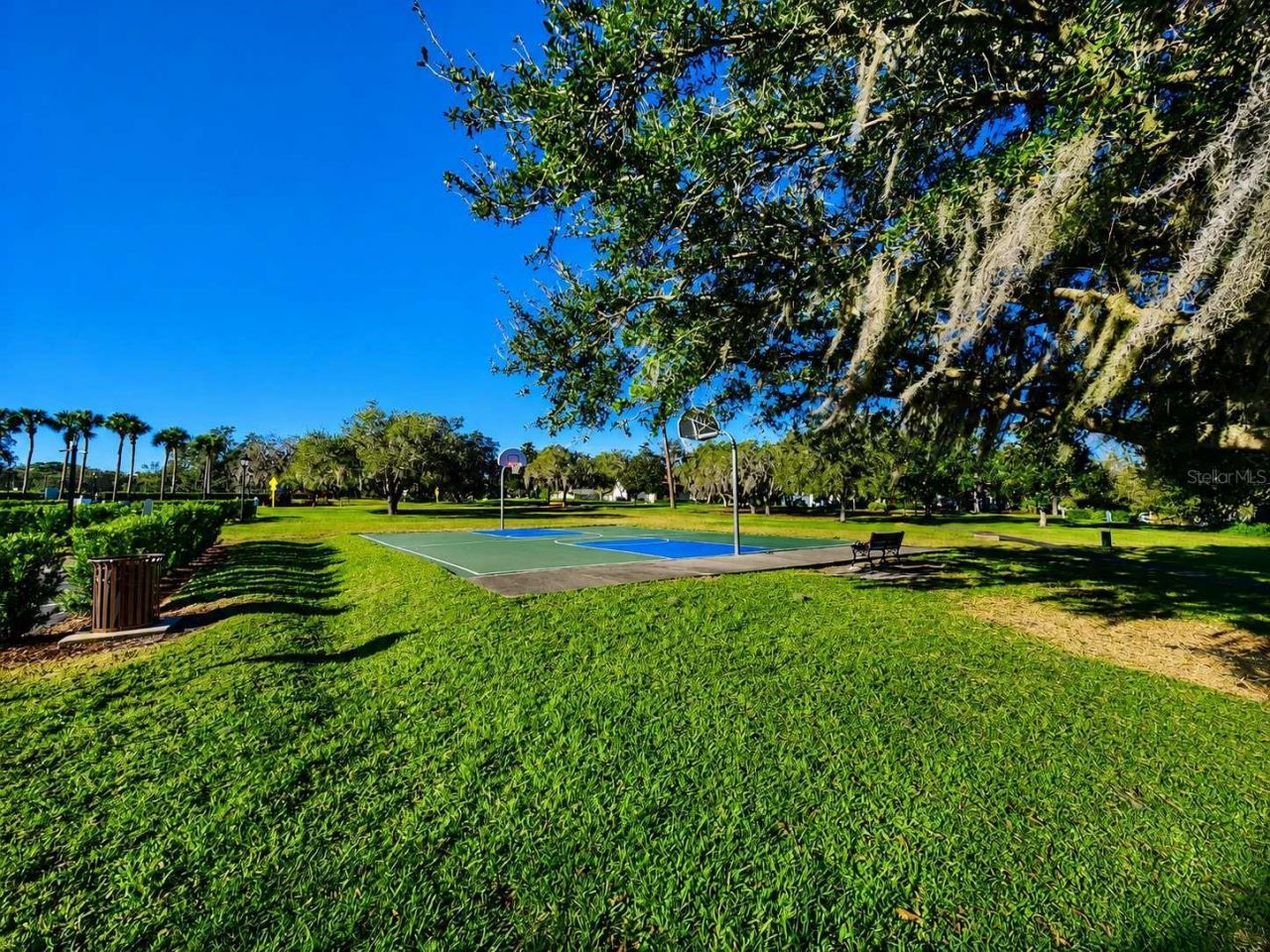 3522 Shoreline Circle, Palm Harbor, FL 34684 Photo