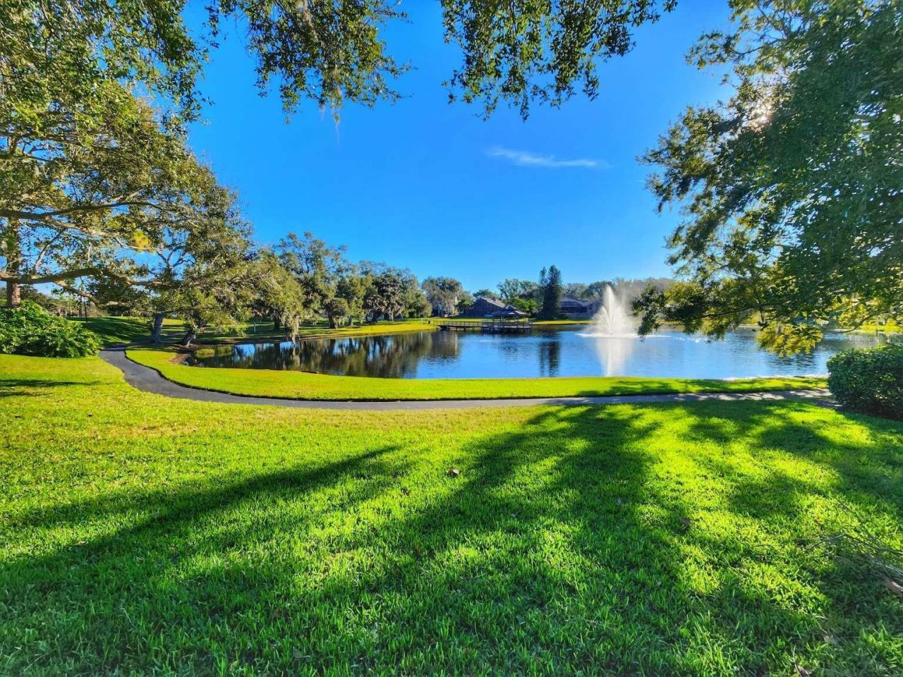 3522 Shoreline Circle, Palm Harbor, FL 34684 Photo