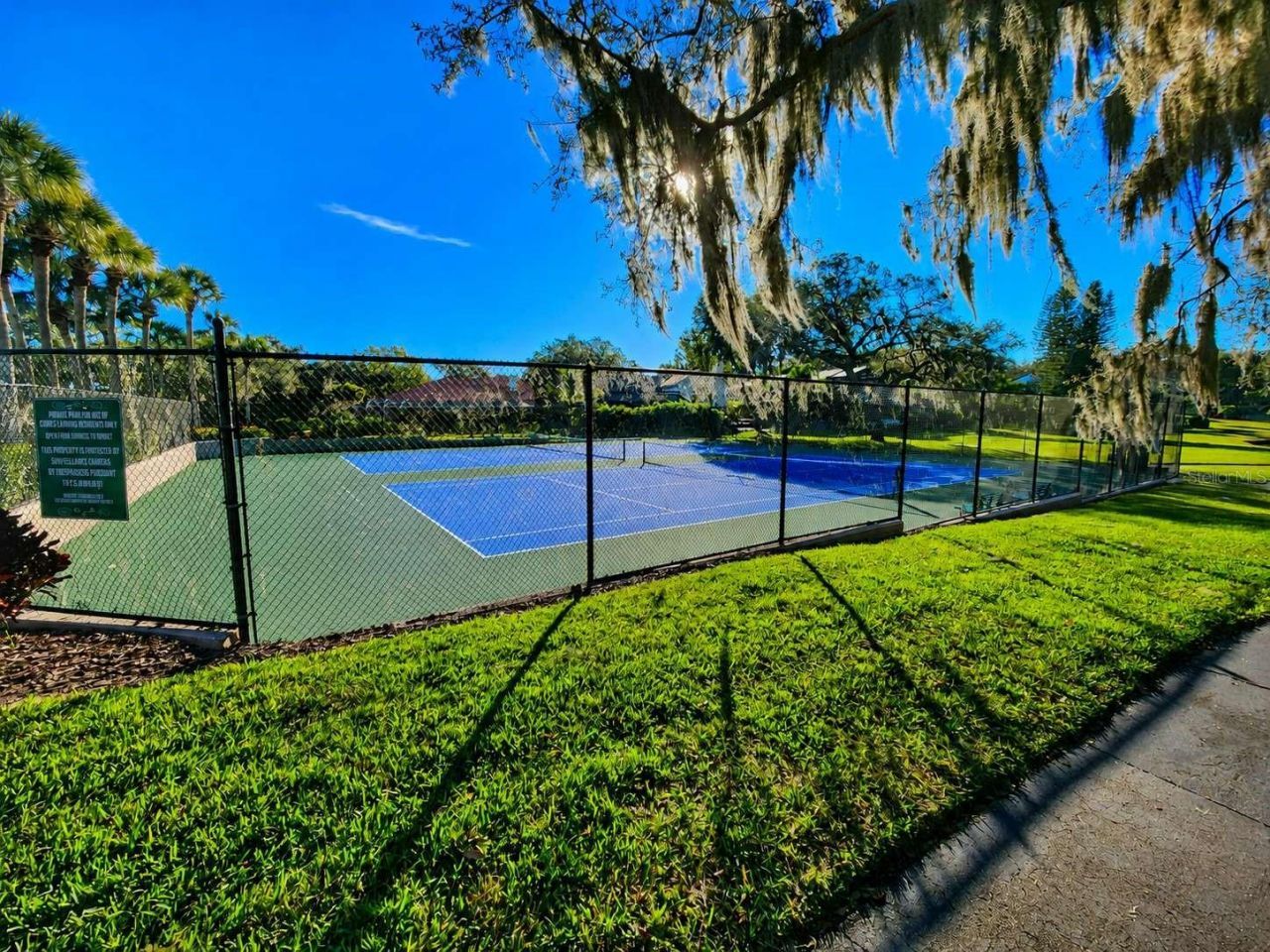 3522 Shoreline Circle, Palm Harbor, FL 34684 Photo