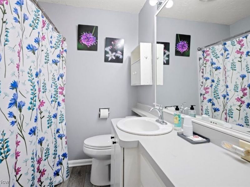 32 W Lincoln Street, Oberlin, OH 44074 Photo 21