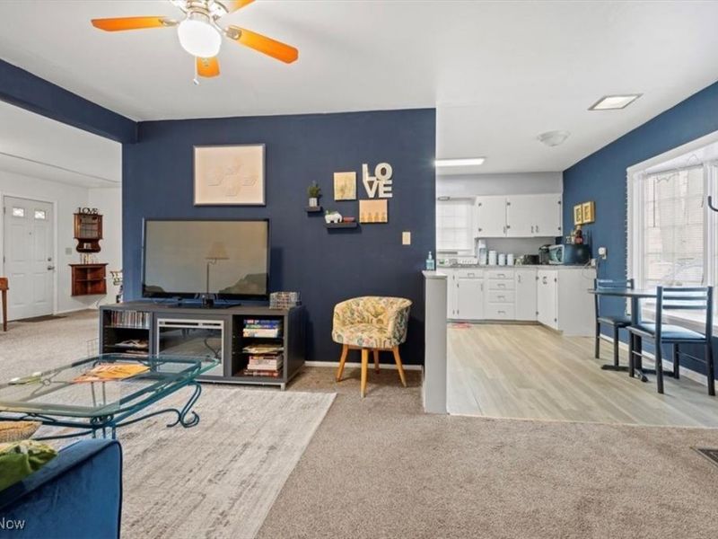 32 W Lincoln Street, Oberlin, OH 44074 Photo 5