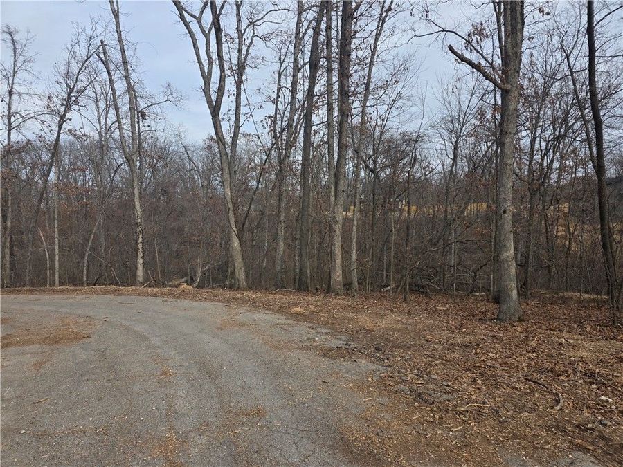 Property Image 18